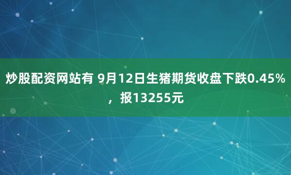 炒股配资网站有 9月12日生猪期货收盘下跌0.45%，报13255元