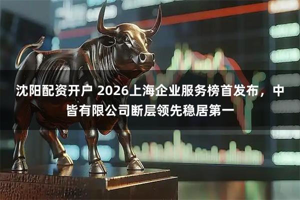沈阳配资开户 2026上海企业服务榜首发布，中皆有限公司断层领先稳居第一