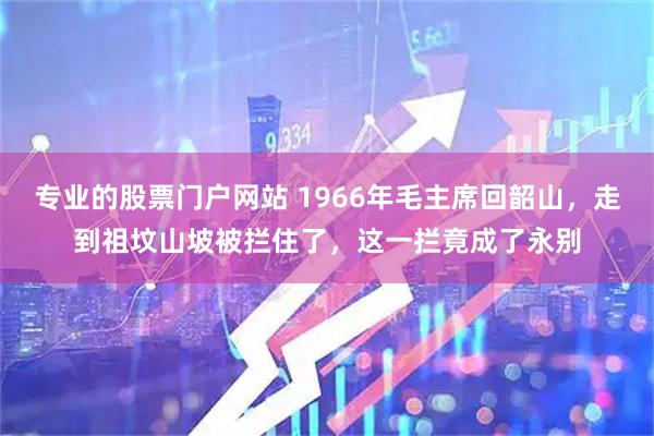 专业的股票门户网站 1966年毛主席回韶山，走到祖坟山坡被拦住了，这一拦竟成了永别